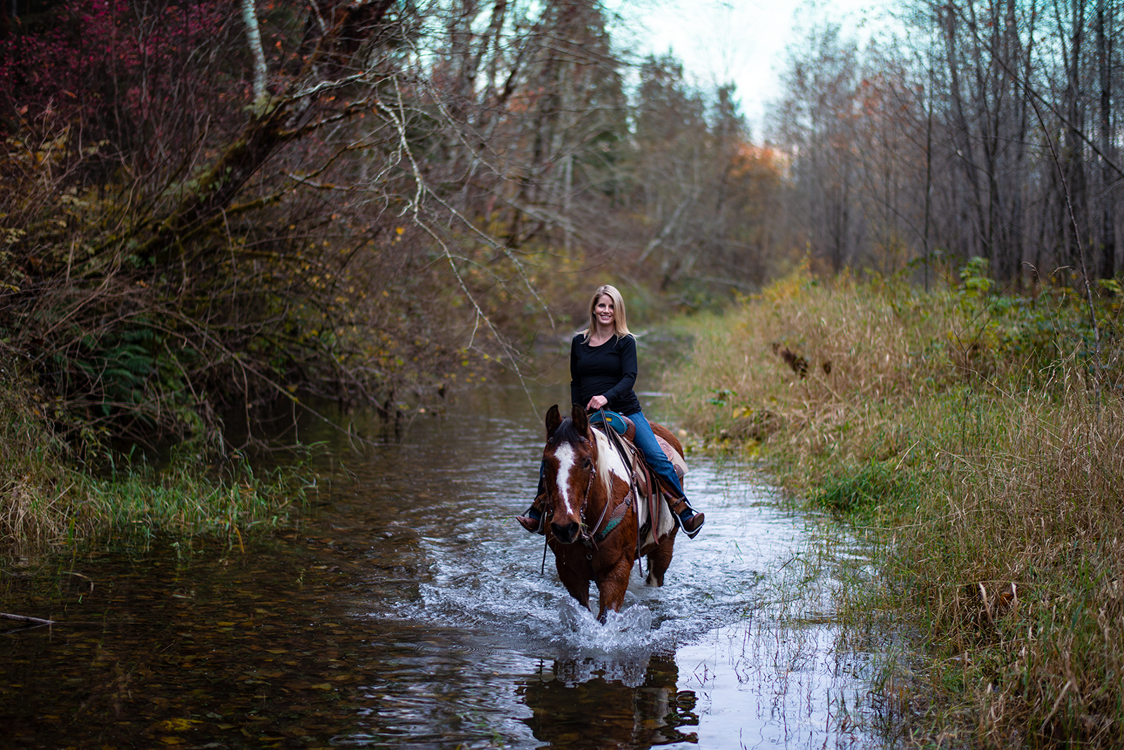 Equestrian Portrait Photography
